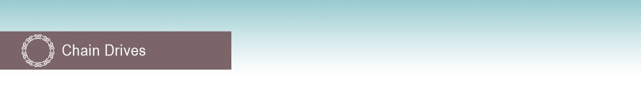 Fenner Chain Drives Banner